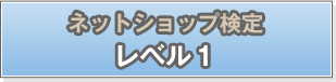 2012-2013年版 ネットショップ検定 レベル1 公式テキスト